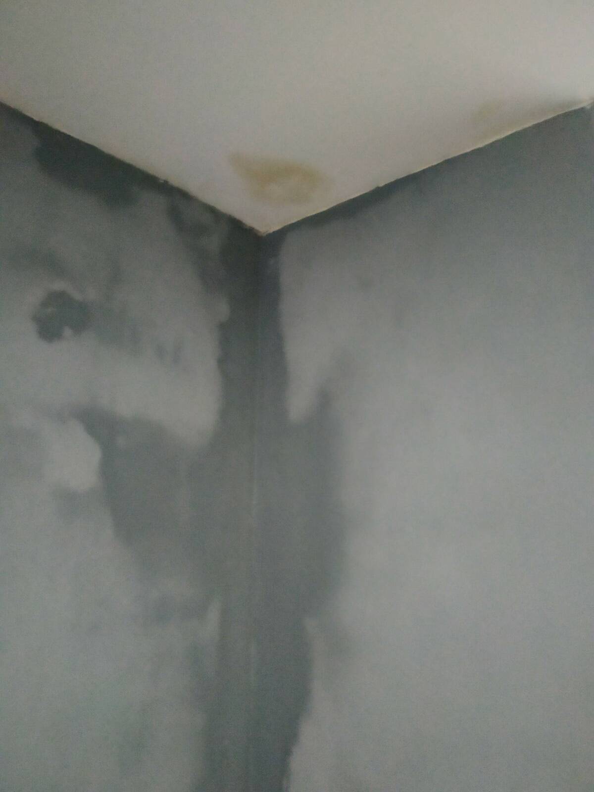 Infiltration d’eau due au mauvais entretien du bâtiment par l’étage supérieur, structure à l’abandon, défaut constaté lors d’une expertise à Esneux.